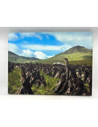 Fotoleinwand "Torf" (40 x 30 cm)